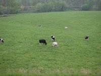 img (272)